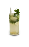 mojito-special